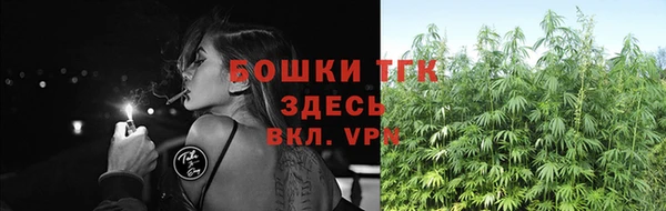 ПСИЛОЦИБИНОВЫЕ ГРИБЫ Нязепетровск
