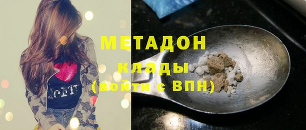прущие грибы Новокубанск