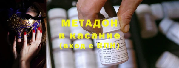 сатива Новозыбков