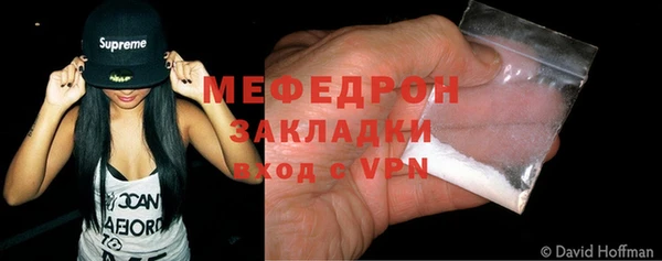 сатива Новозыбков