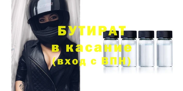 сатива Новозыбков
