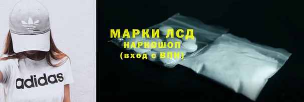 прущие грибы Новокубанск