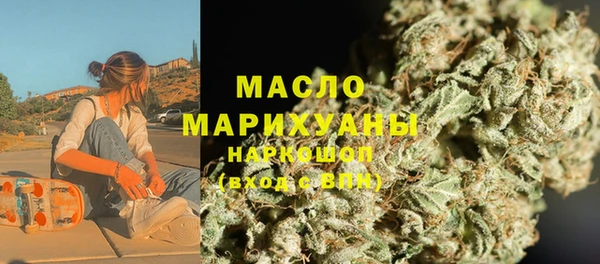 сатива Новозыбков