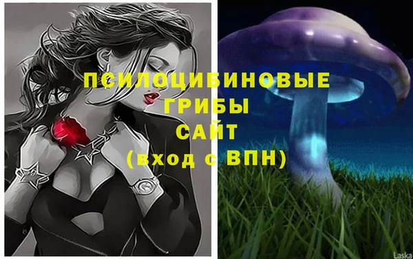 бутират Новодвинск