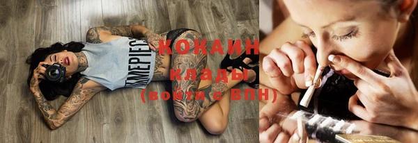 прущие грибы Новокубанск