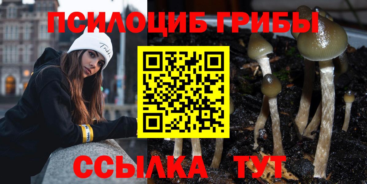 Сызрань  Псилоцибиновые грибы MAGIC MUSHROOMS  Вход с VPN 