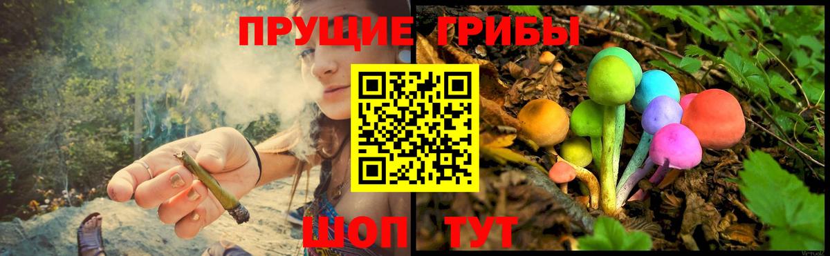 Галлюциногенные грибы мухоморы Сызрань
